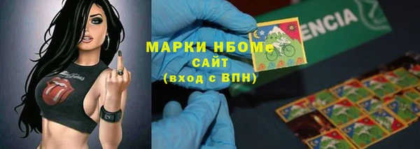 индика Алексин
