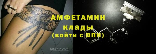 индика Протвино