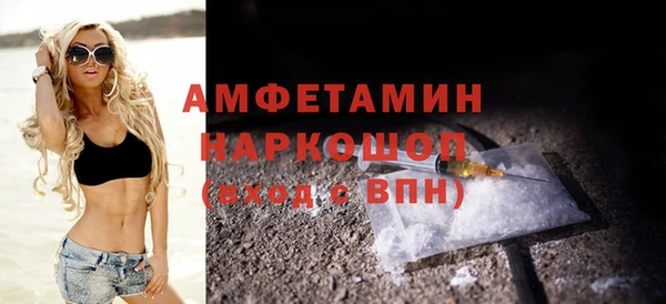 индика Протвино