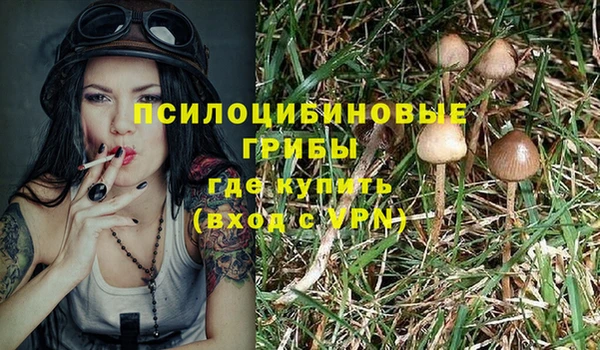 индика Протвино