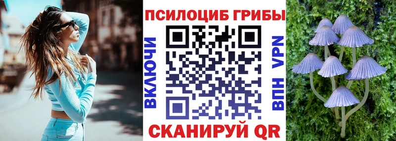Псилоцибиновые грибы прущие грибы  наркошоп  Заволжск 