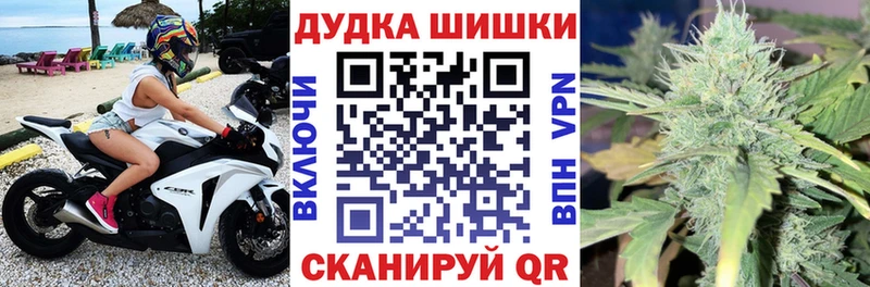 где купить   Заволжск  Бошки Шишки индика 